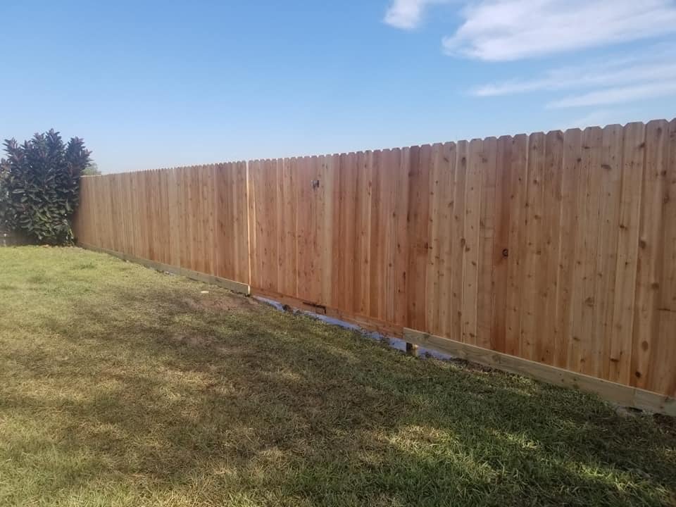 cedar fence